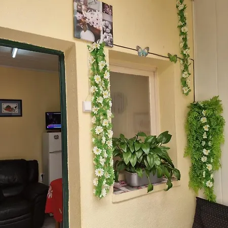 Cozy Pilar House 19 * Funchal (Madeira)